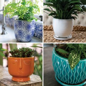 Picture for category GLAZED