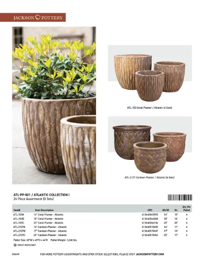 Picture of Atlantic Collection I | 24 Pcs. | 8 sets