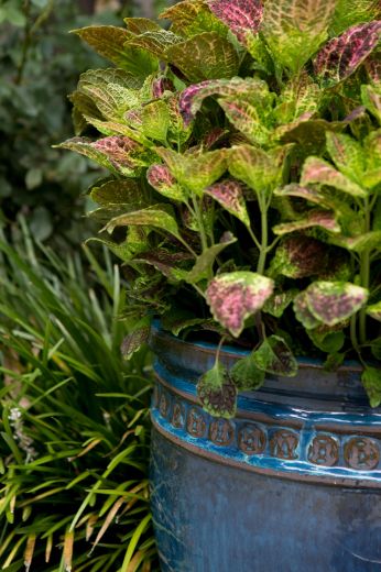 Picture of 24 in. Coin Pot - Azul